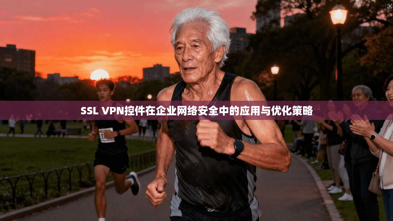 SSL VPN控件在企业网络安全中的应用与优化策略  第1张