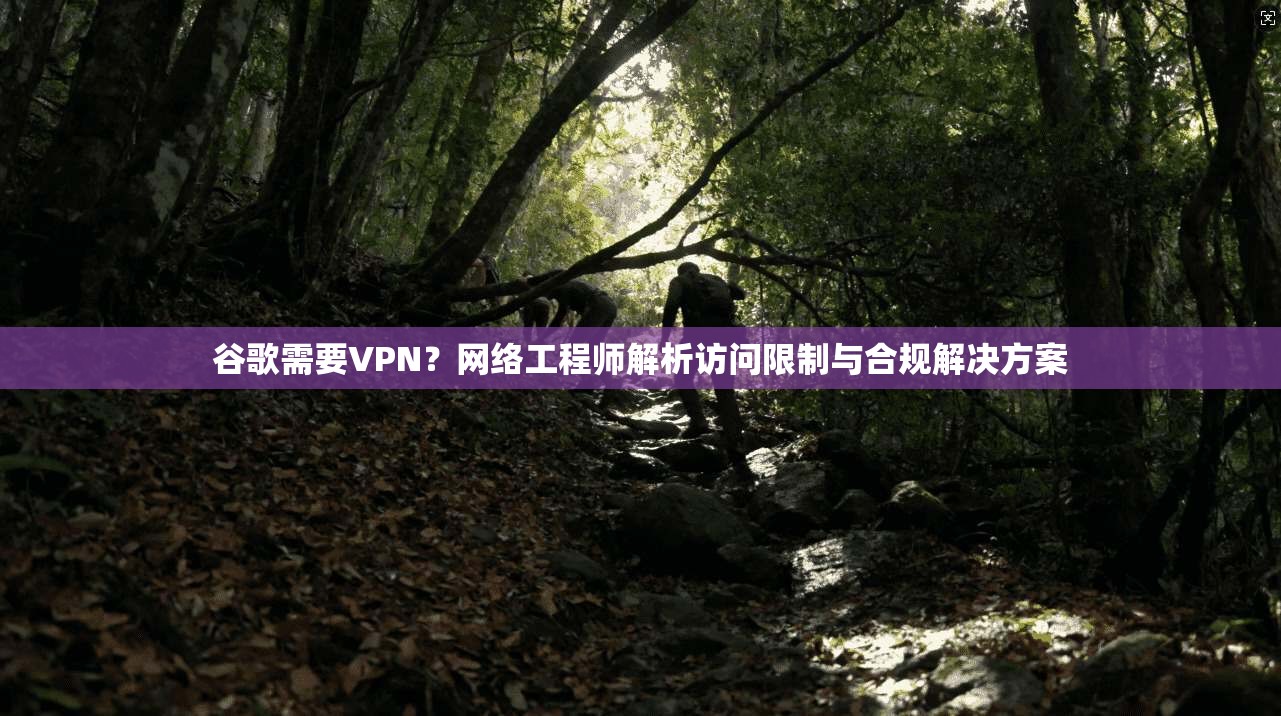 谷歌需要VPN？网络工程师解析访问限制与合规解决方案  第1张