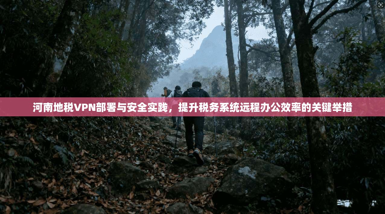 河南地税VPN部署与安全实践，提升税务系统远程办公效率的关键举措  第1张