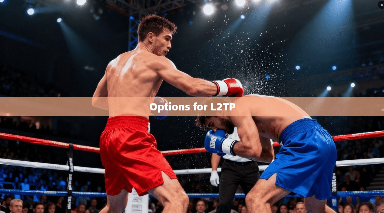 Options for L2TP  第1张