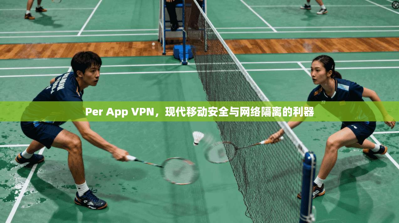 Per App VPN，现代移动安全与网络隔离的利器  第1张