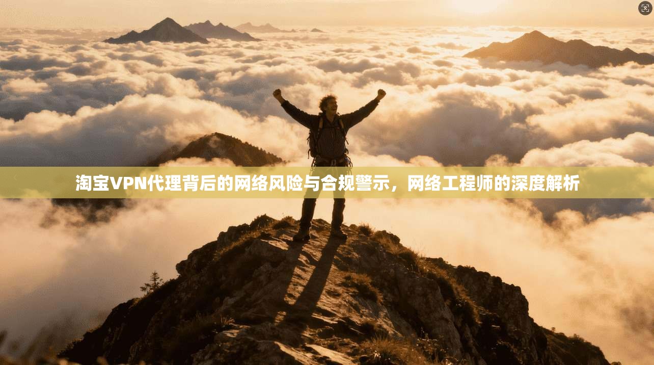 淘宝VPN代理背后的网络风险与合规警示，网络工程师的深度解析  第1张