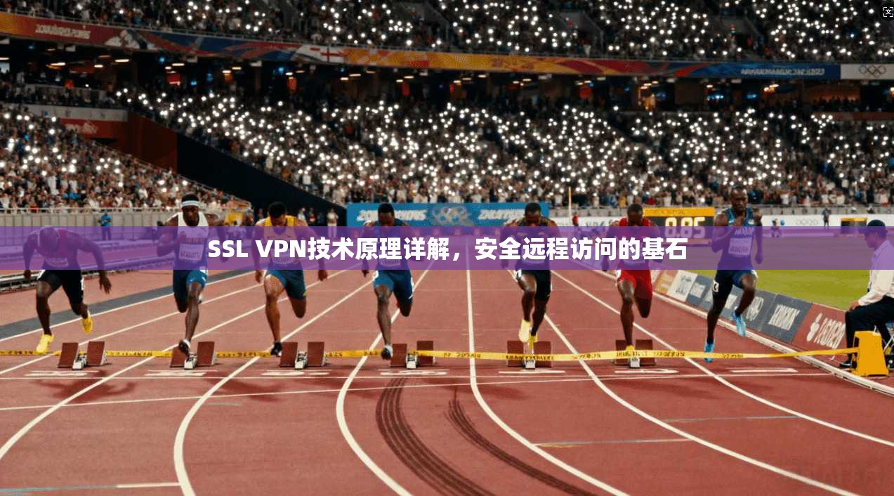 SSL VPN技术原理详解,安全远程访问的基石 第1张 SSL VPN技术原理详解,安全远程访问的基石 第1张