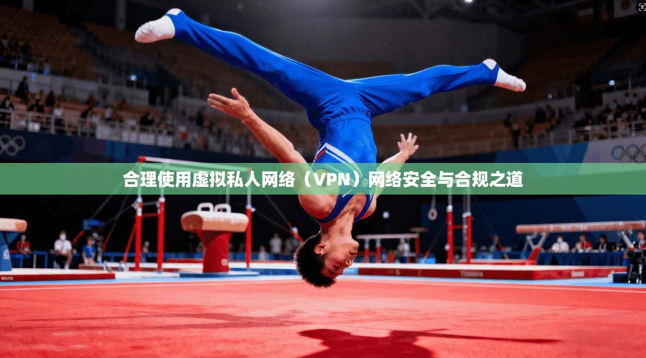 合理使用虚拟私人网络(VPN)网络安全与合规之道 第1张 合理使用虚拟私人网络(VPN)网络安全与合规之道 第1张