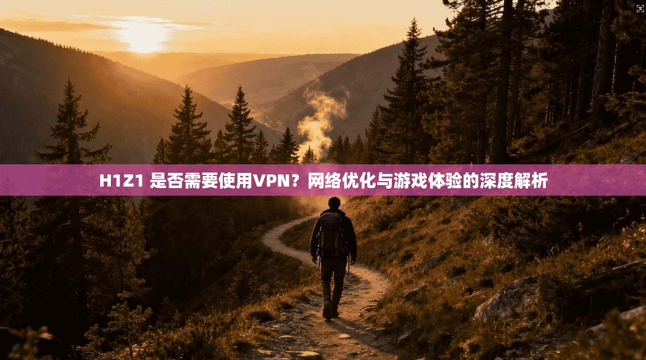 H1Z1 是否需要使用VPN？网络优化与游戏体验的深度解析  第1张