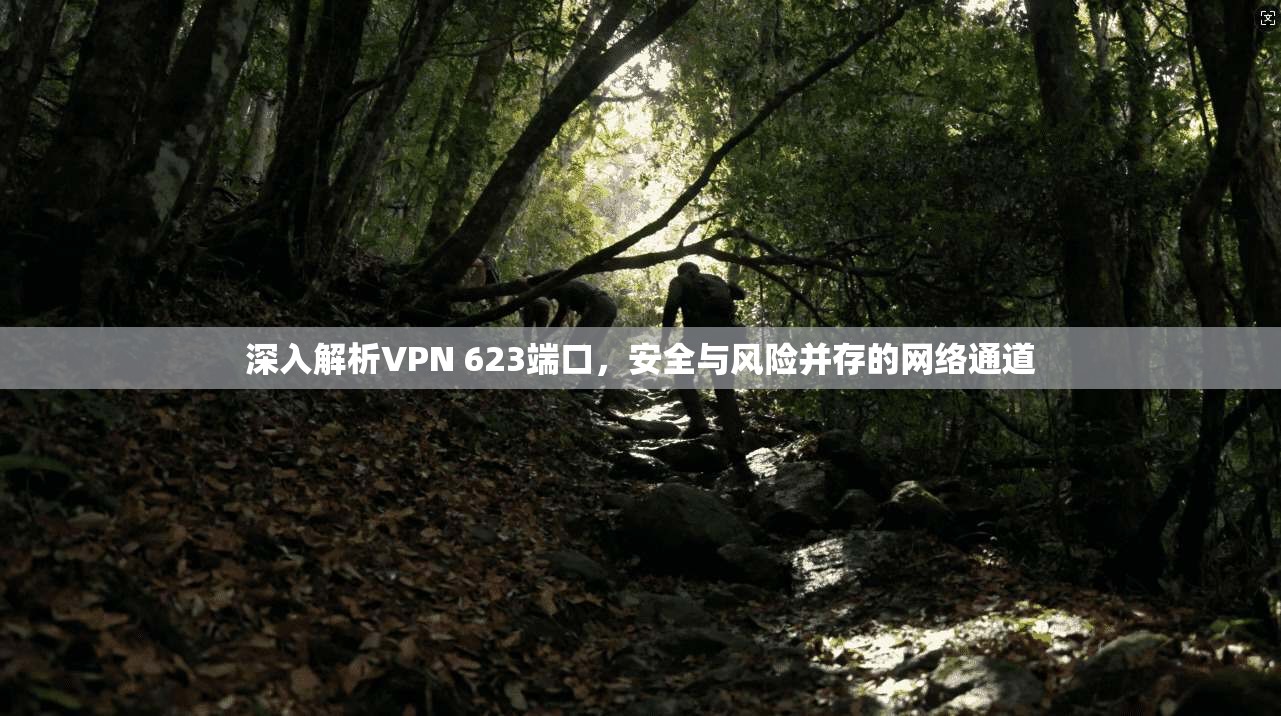 深入解析VPN 623端口,安全与风险并存的网络通道 第1张 深入解析VPN 623端口,安全与风险并存的网络通道 第1张