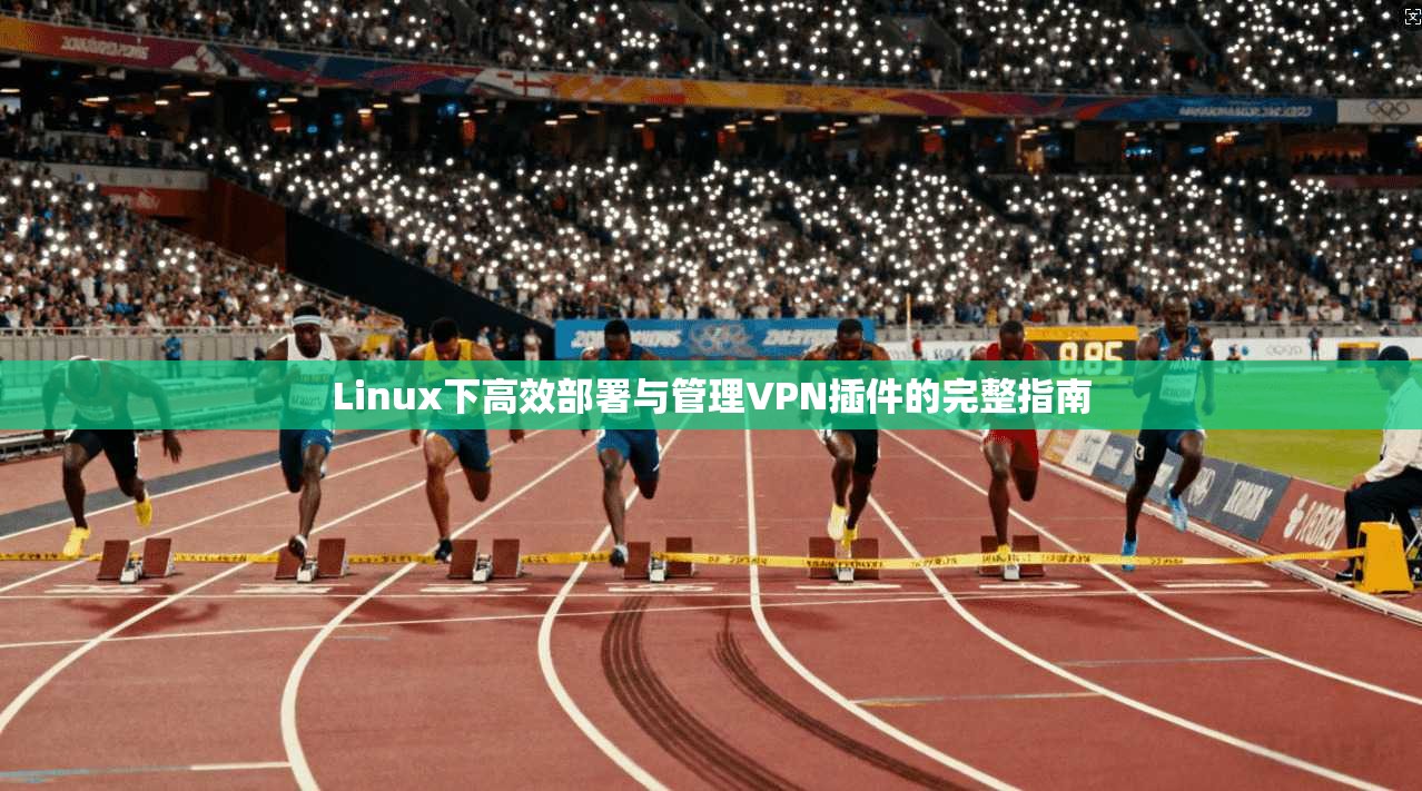 Linux下高效部署与管理VPN插件的完整指南  第1张