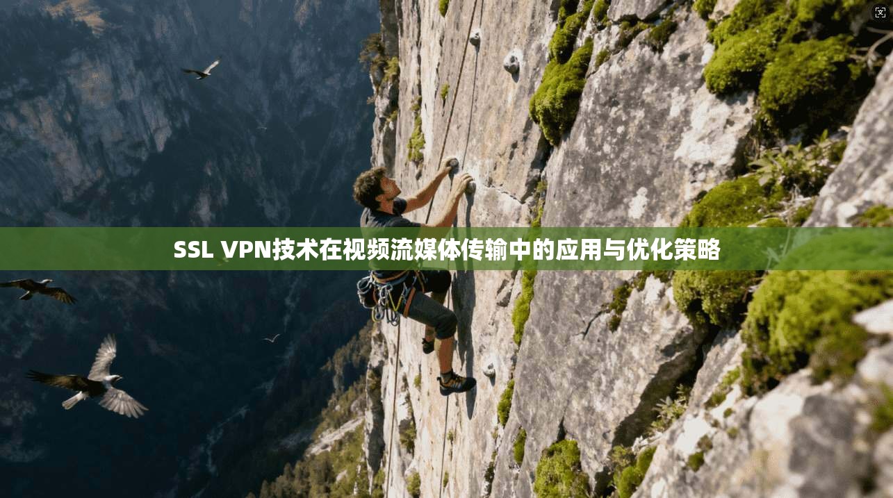 SSL VPN技术在视频流媒体传输中的应用与优化策略 第1张 SSL VPN技术在视频流媒体传输中的应用与优化策略 第1张