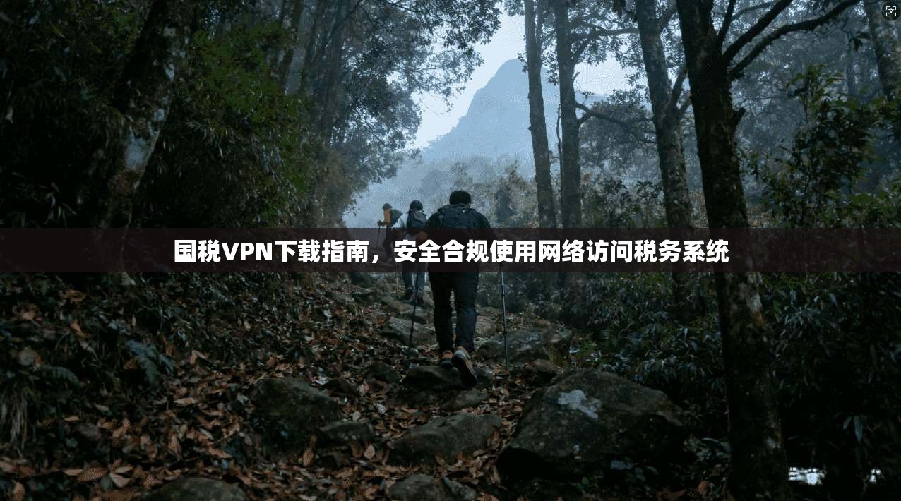 国税VPN下载指南，安全合规使用网络访问税务系统  第1张