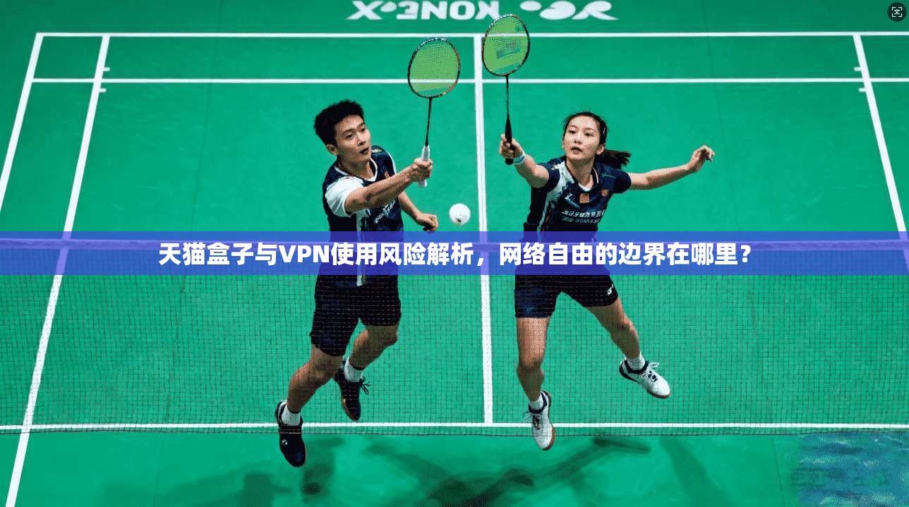天猫盒子与VPN使用风险解析,网络自由的边界在哪里? 第1张 天猫盒子与VPN使用风险解析,网络自由的边界在哪里? 第1张