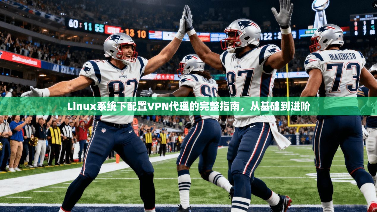 Linux系统下配置VPN代理的完整指南，从基础到进阶  第1张