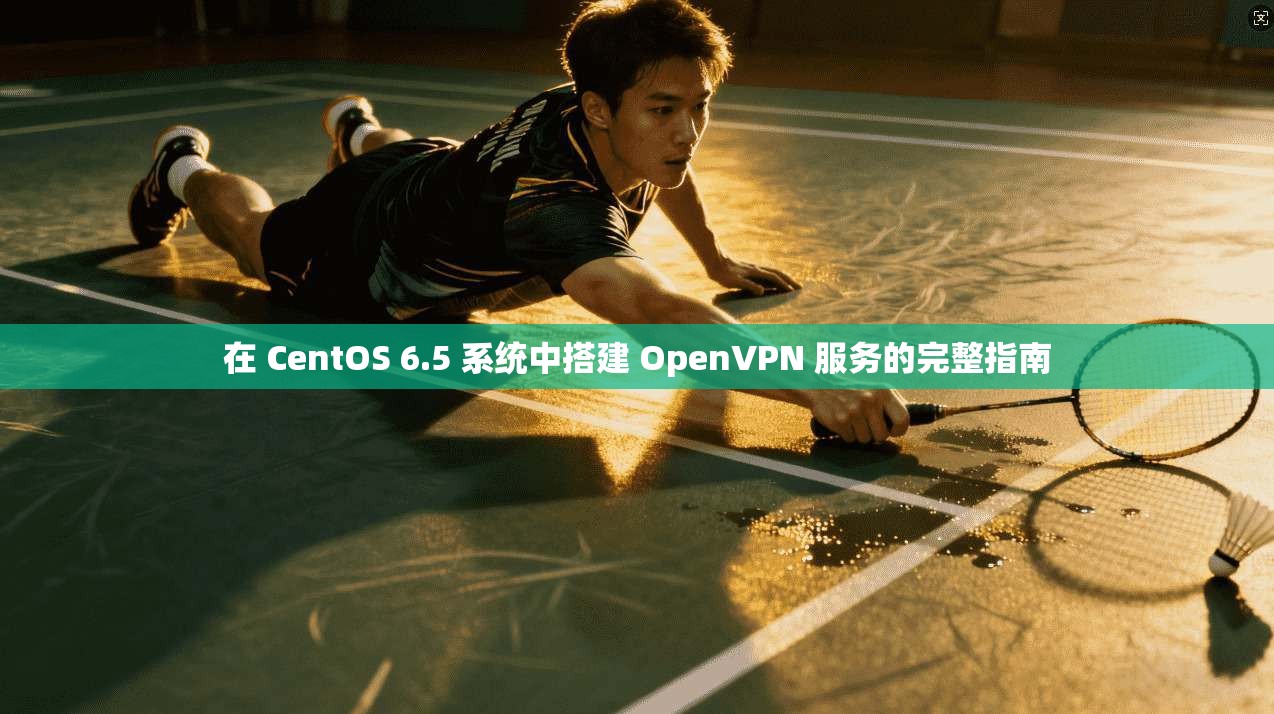 在 CentOS 6.5 系统中搭建 OpenVPN 服务的完整指南 第1张 在 CentOS 6.5 系统中搭建 OpenVPN 服务的完整指南 第1张