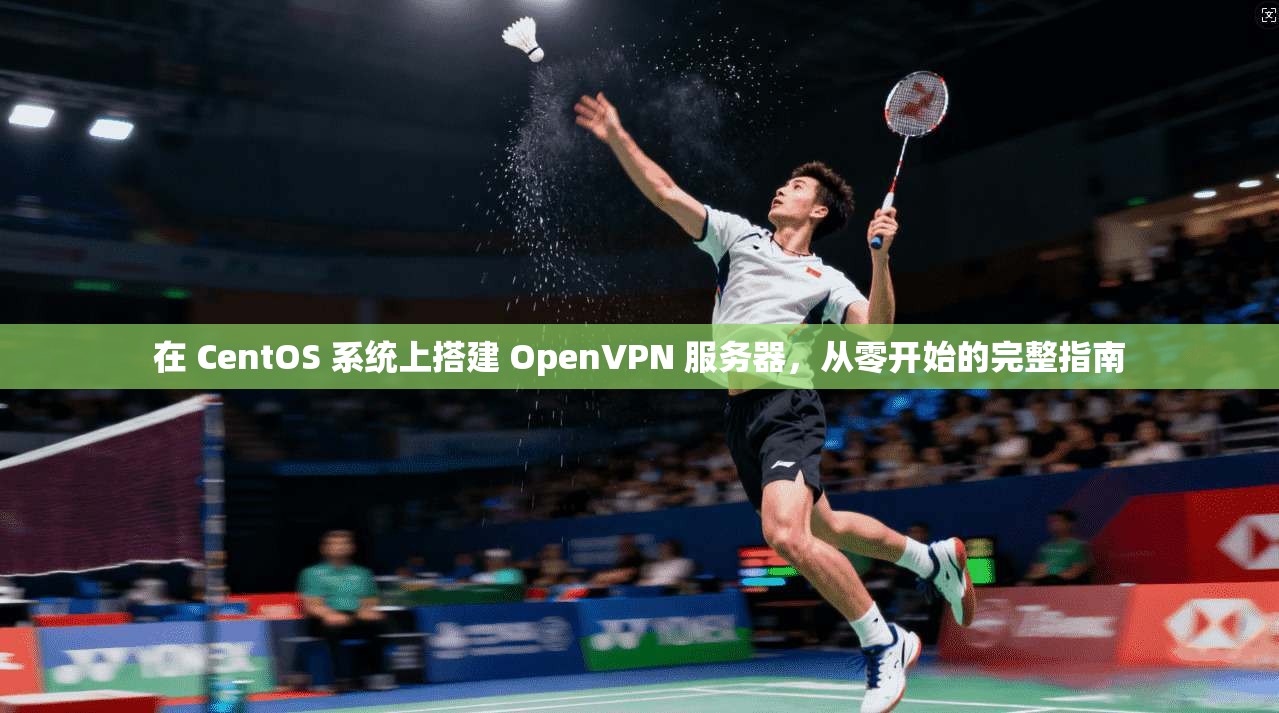 在 CentOS 系统上搭建 OpenVPN 服务器，从零开始的完整指南  第1张