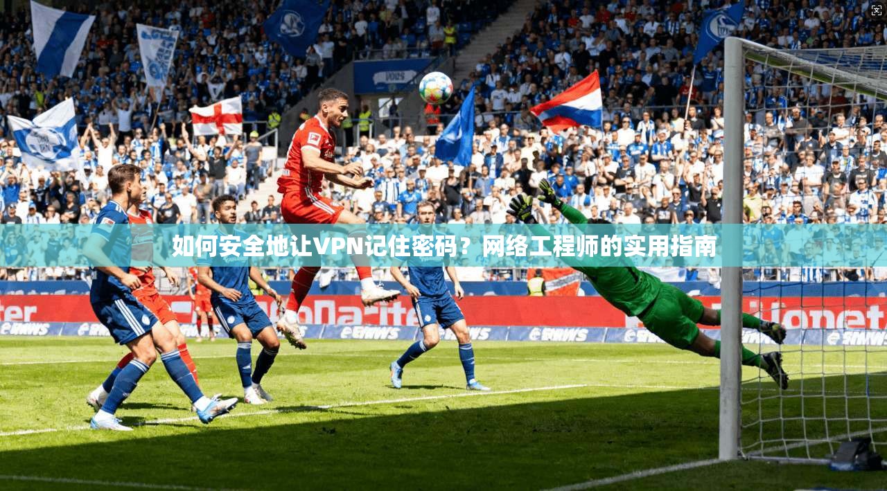 如何安全地让VPN记住密码？网络工程师的实用指南  第1张