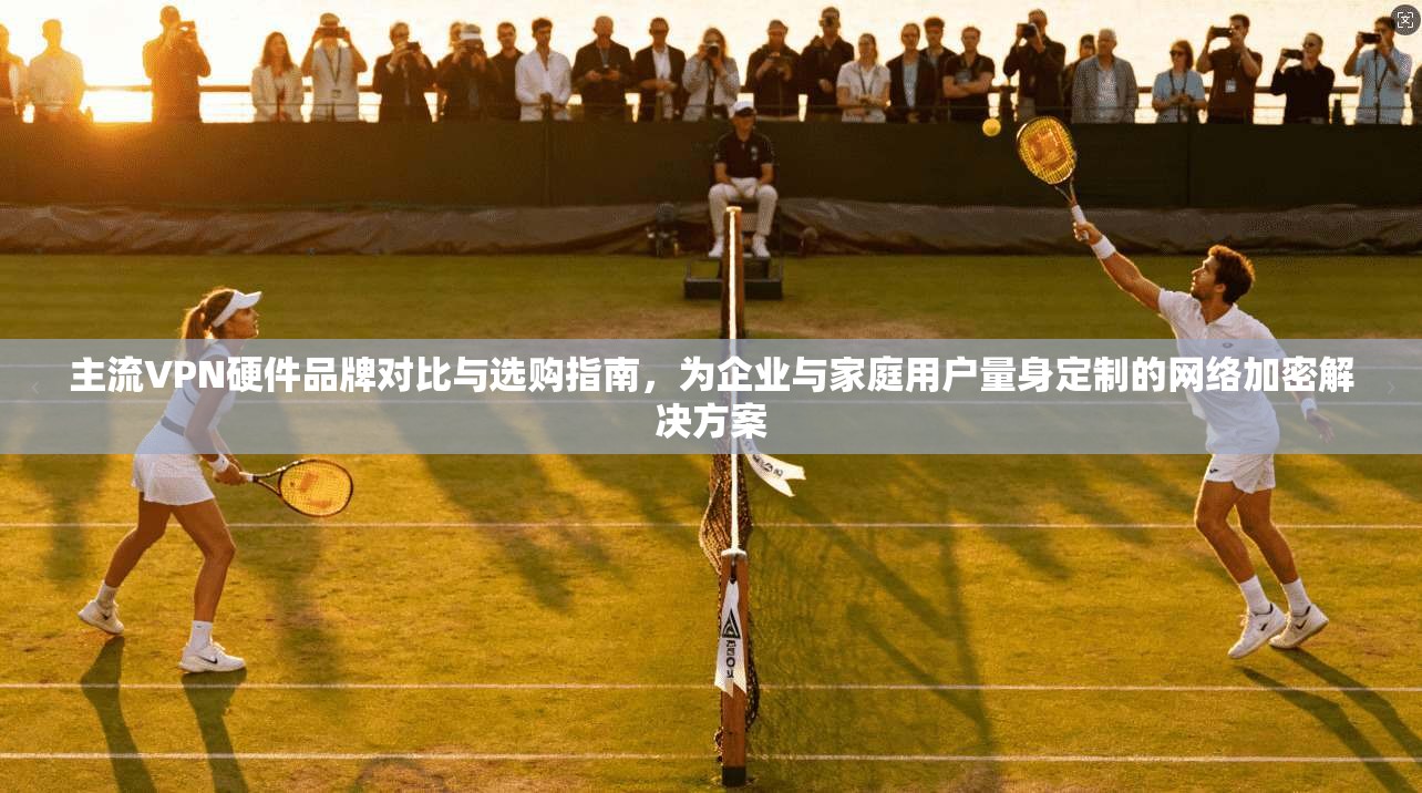 主流VPN硬件品牌对比与选购指南,为企业与家庭用户量身定制的网络加密解决方案 第1张 主流VPN硬件品牌对比与选购指南,为企业与家庭用户量身定制的网络加密解决方案 第1张