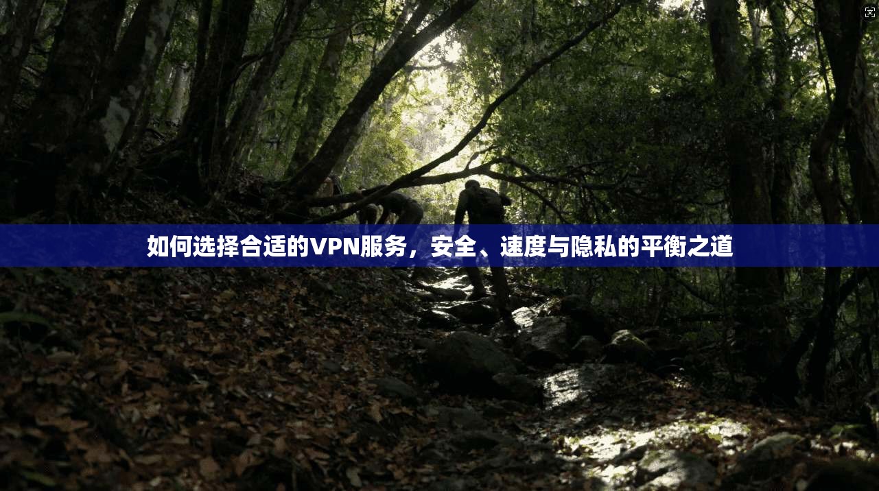 如何选择合适的VPN服务，安全、速度与隐私的平衡之道  第1张