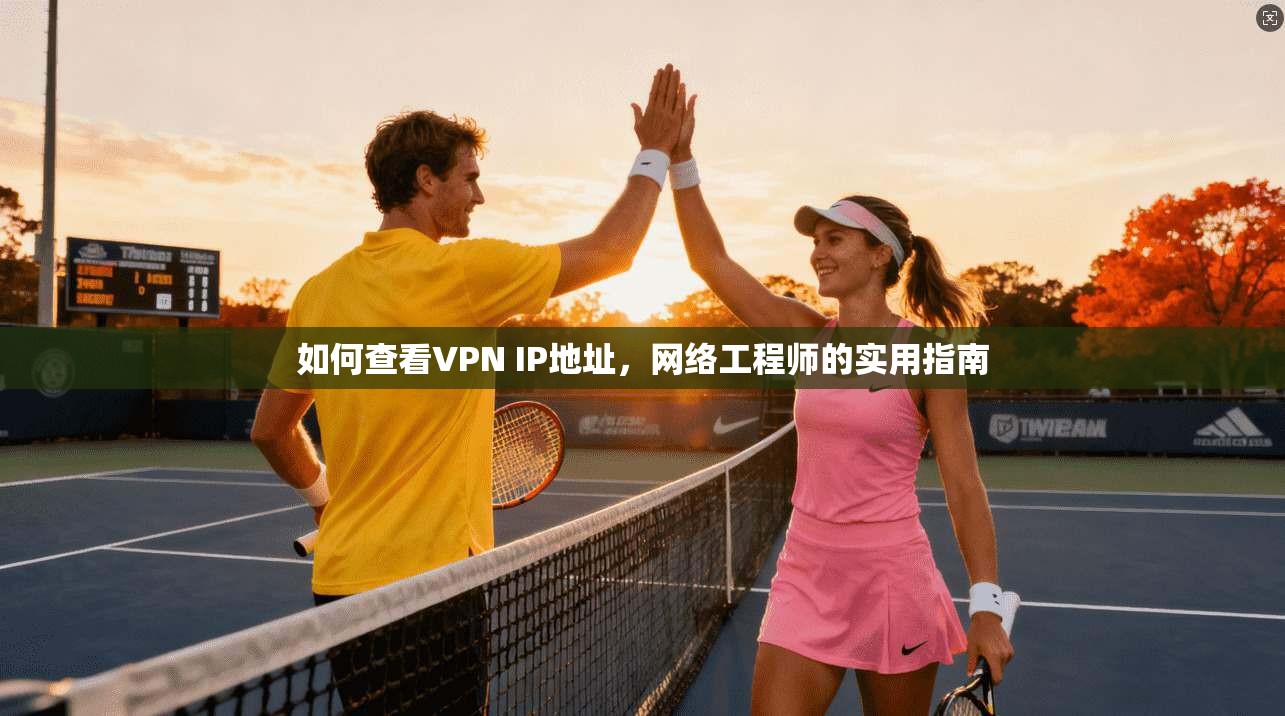 如何查看VPN IP地址，网络工程师的实用指南  第1张