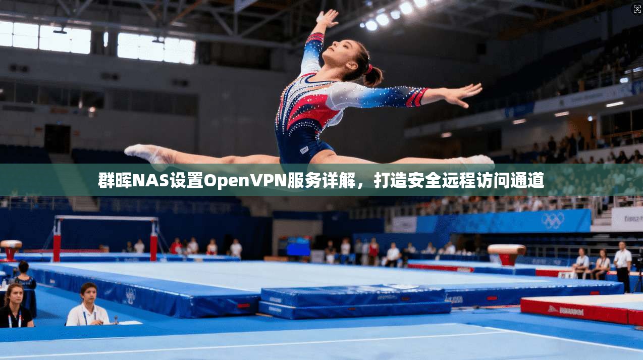 群晖NAS设置OpenVPN服务详解,打造安全远程访问通道 第1张 群晖NAS设置OpenVPN服务详解,打造安全远程访问通道 第1张
