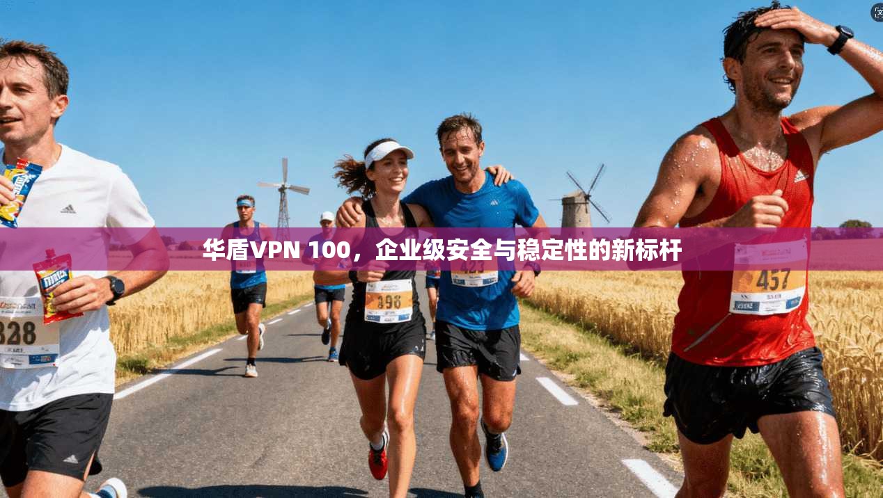 华盾VPN 100，企业级安全与稳定性的新标杆  第1张