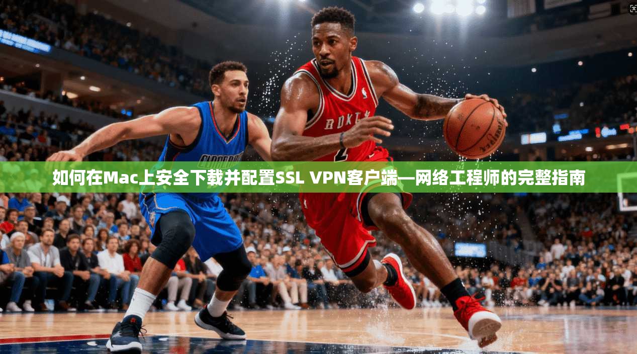如何在Mac上安全下载并配置SSL VPN客户端—网络工程师的完整指南  第1张