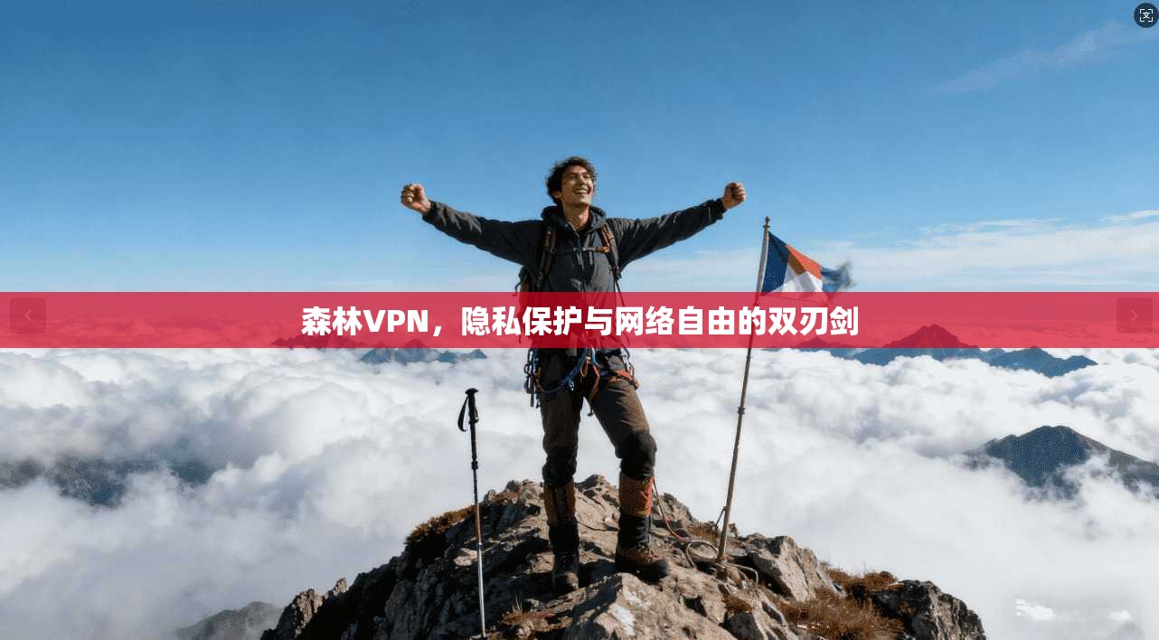 森林VPN，隐私保护与网络自由的双刃剑  第1张