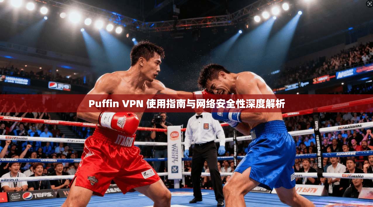 Puffin VPN 使用指南与网络安全性深度解析  第1张
