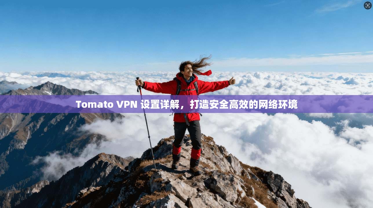 Tomato VPN 设置详解，打造安全高效的网络环境  第1张