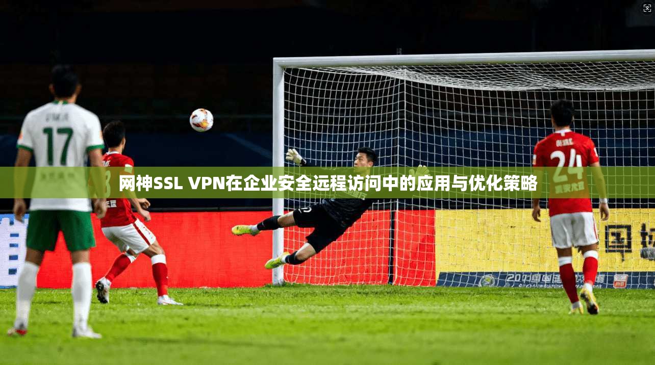 网神SSL VPN在企业安全远程访问中的应用与优化策略  第1张