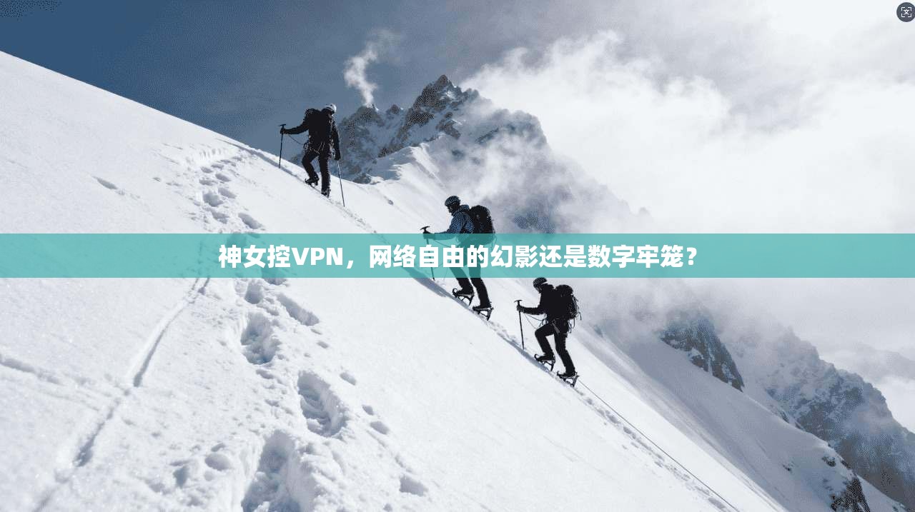 神女控VPN，网络自由的幻影还是数字牢笼？  第1张