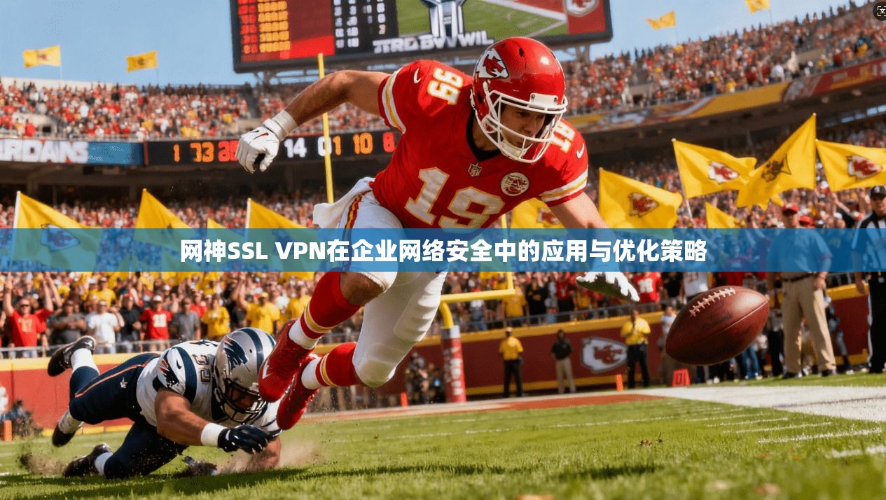 网神SSL VPN在企业网络安全中的应用与优化策略  第1张