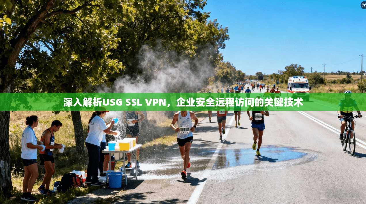 深入解析USG SSL VPN,企业安全远程访问的关键技术 第1张 深入解析USG SSL VPN,企业安全远程访问的关键技术 第1张