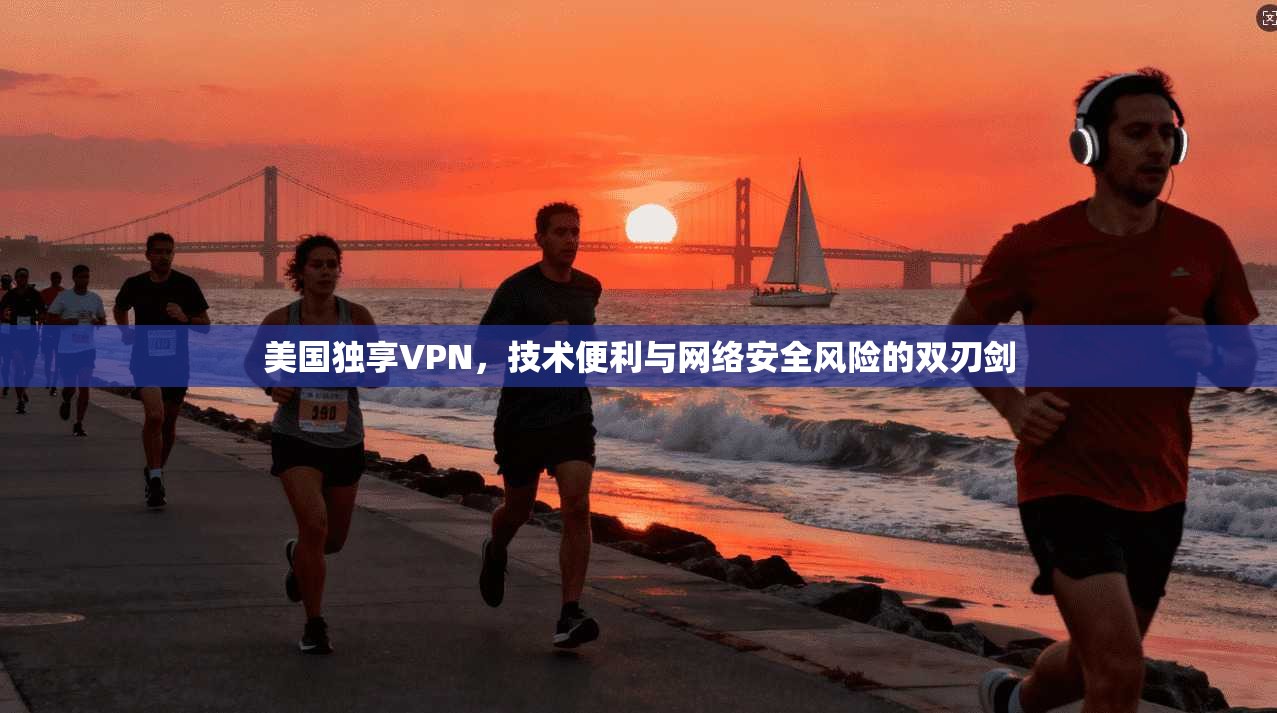 美国独享VPN，技术便利与网络安全风险的双刃剑  第1张