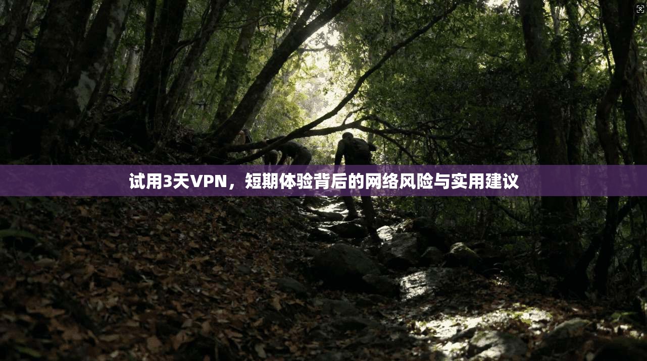 试用3天VPN，短期体验背后的网络风险与实用建议  第1张