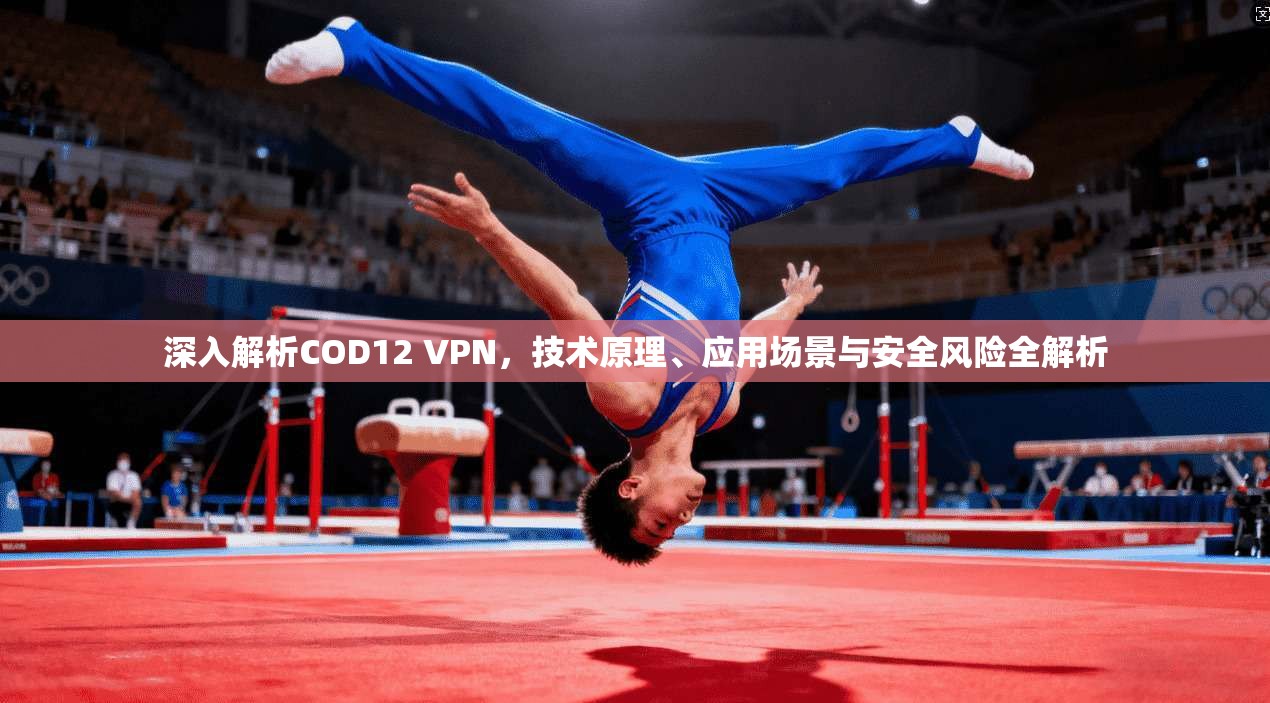 深入解析COD12 VPN，技术原理、应用场景与安全风险全解析  第1张