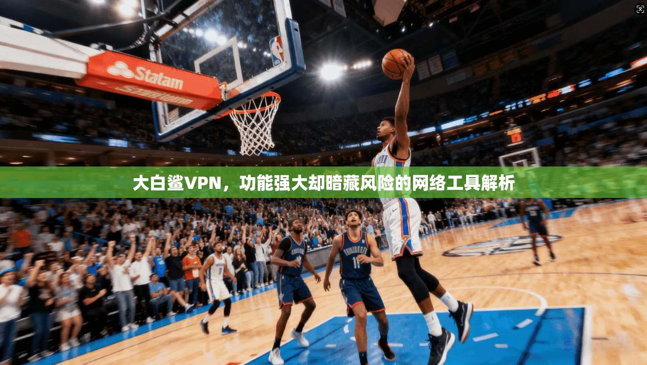 大白鲨VPN，功能强大却暗藏风险的网络工具解析  第1张