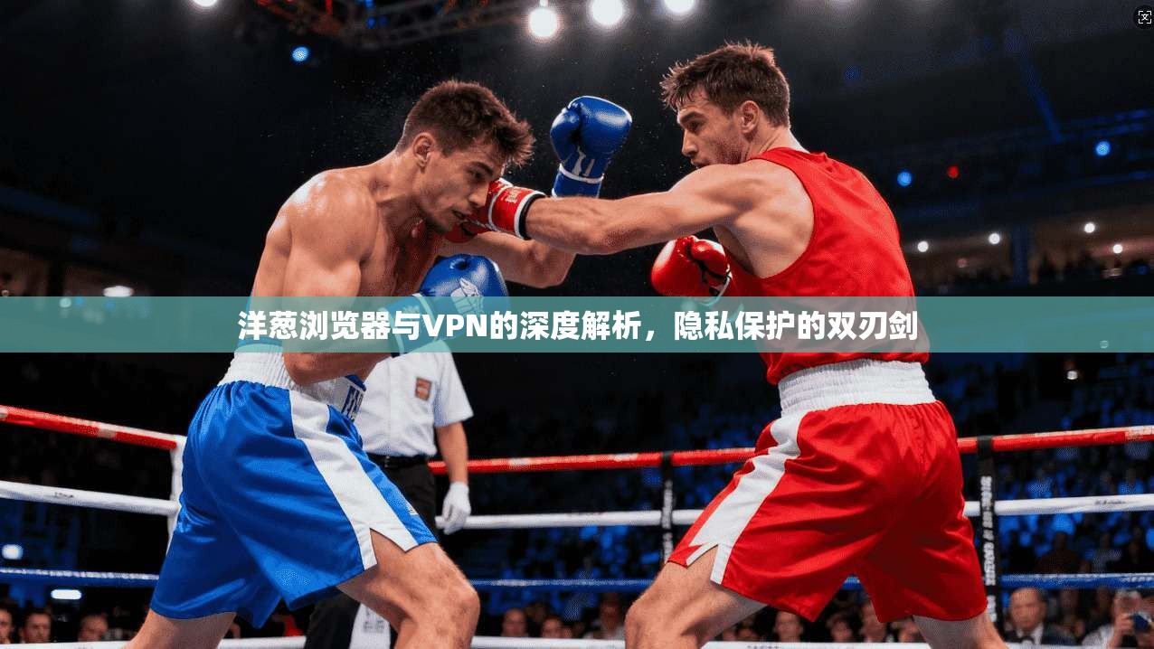洋葱浏览器与VPN的深度解析，隐私保护的双刃剑  第1张