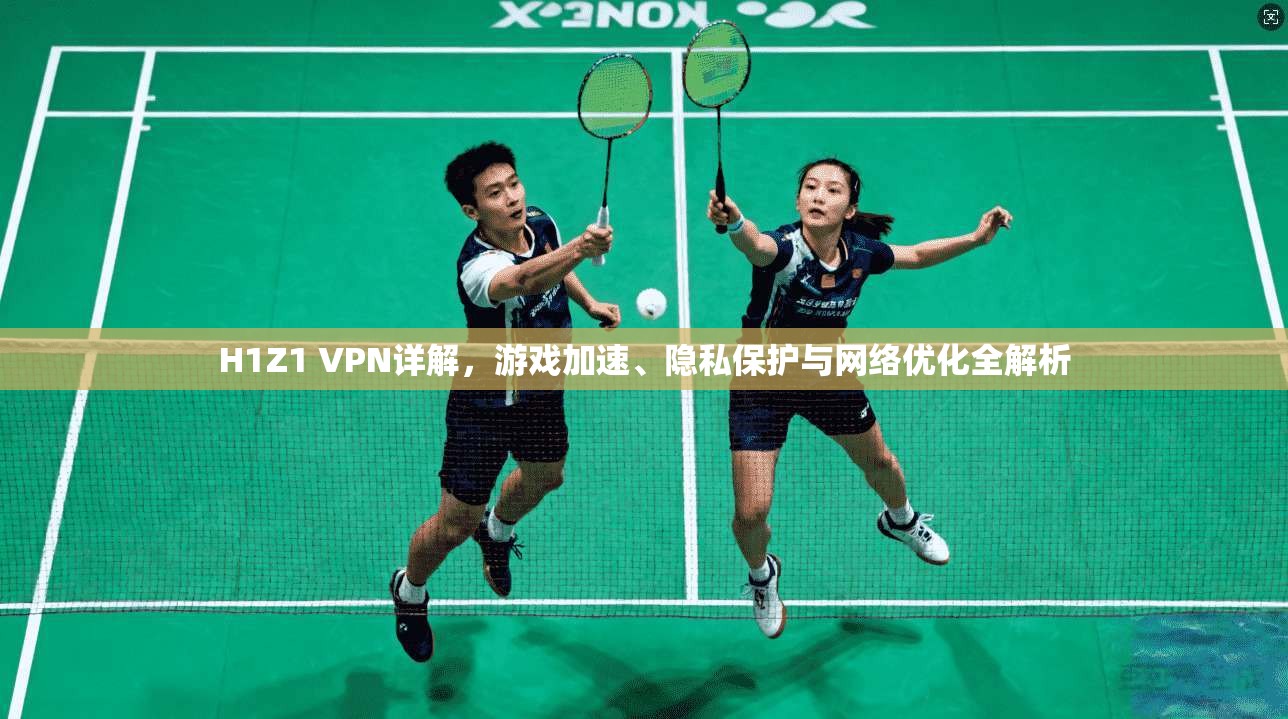 H1Z1 VPN详解，游戏加速、隐私保护与网络优化全解析  第1张