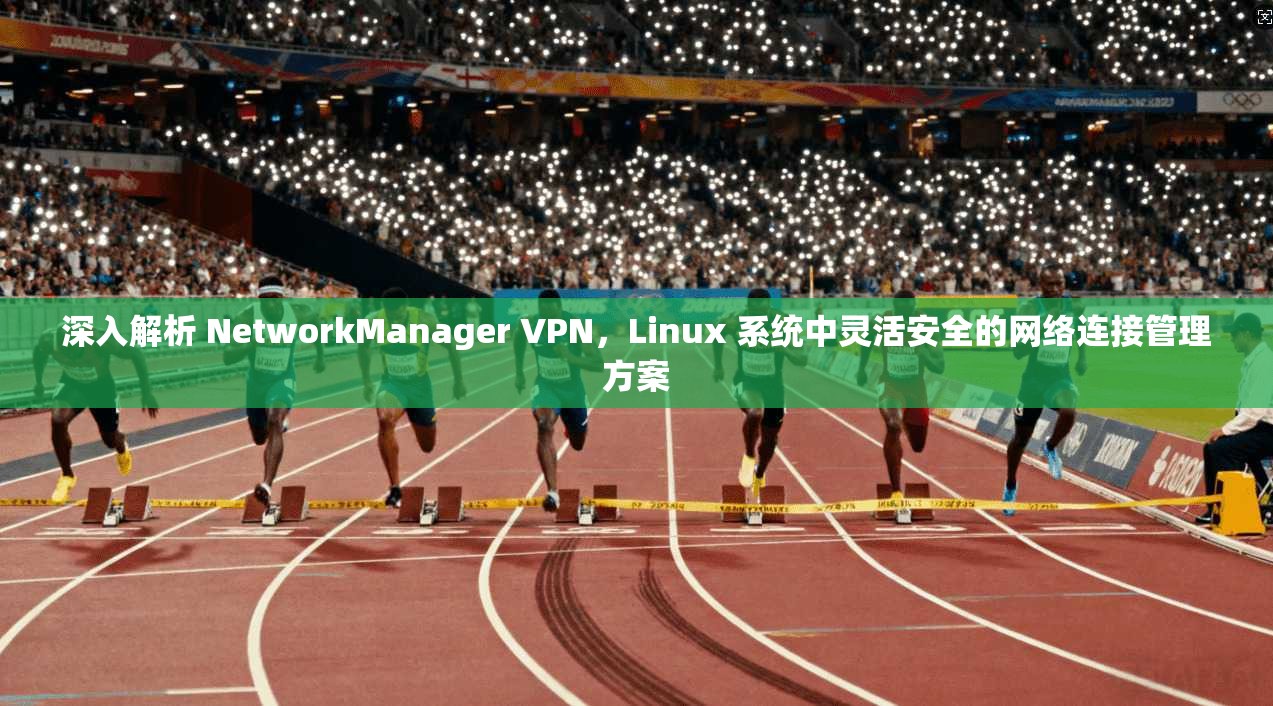 深入解析 NetworkManager VPN，Linux 系统中灵活安全的网络连接管理方案  第1张
