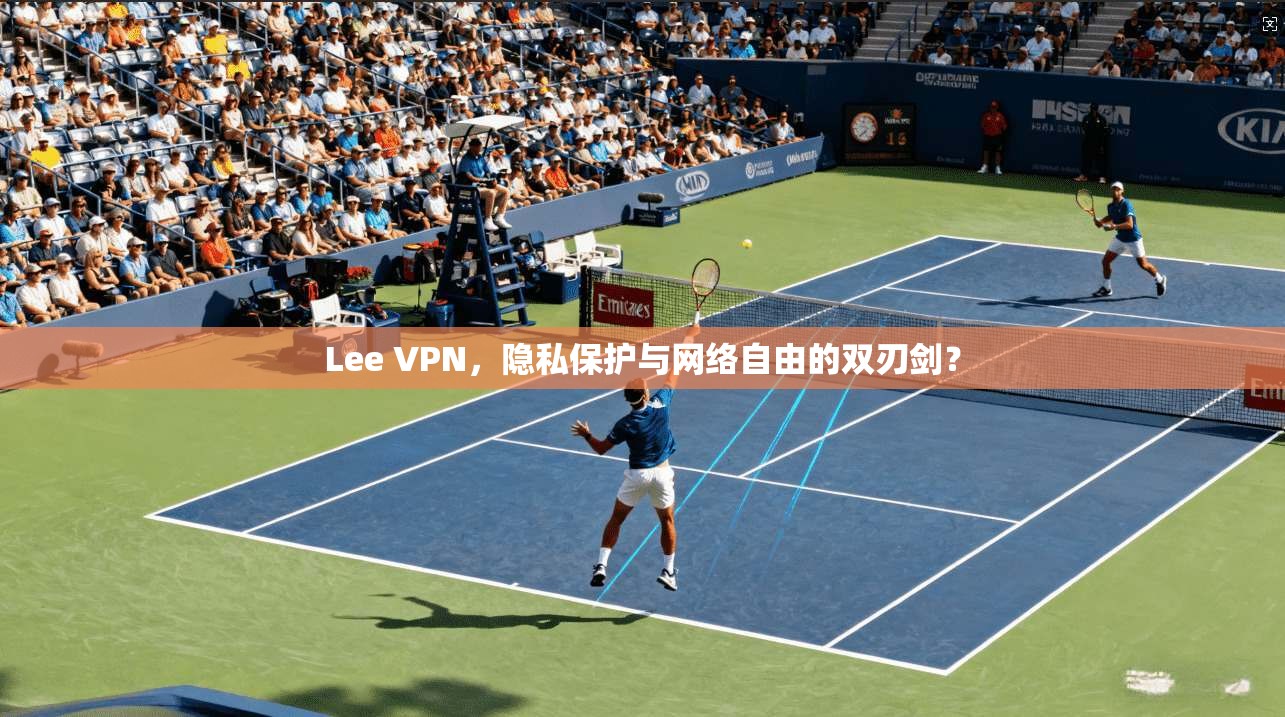 Lee VPN，隐私保护与网络自由的双刃剑？  第1张