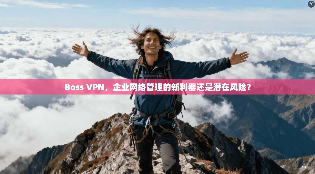 Boss VPN，企业网络管理的新利器还是潜在风险？  第1张