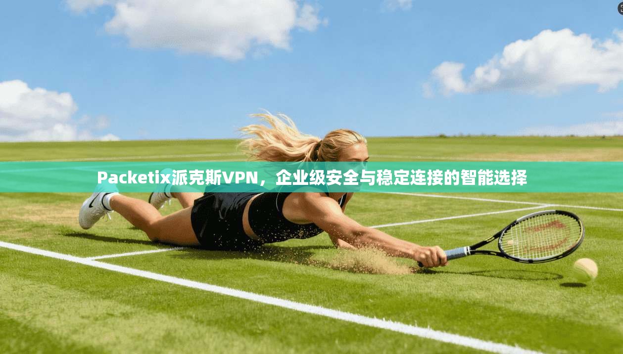 Packetix派克斯VPN，企业级安全与稳定连接的智能选择  第1张