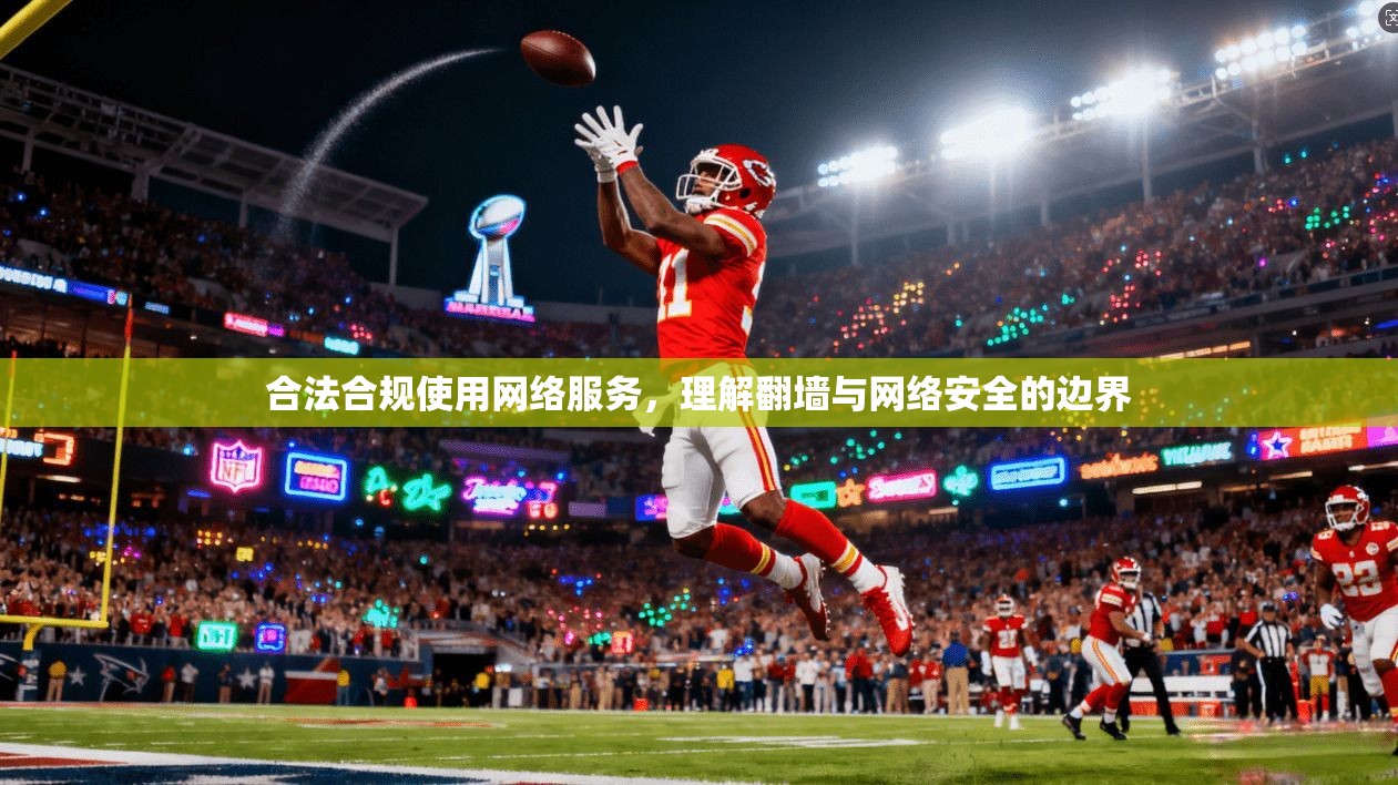 合法合规使用网络服务，理解翻墙与网络安全的边界  第1张