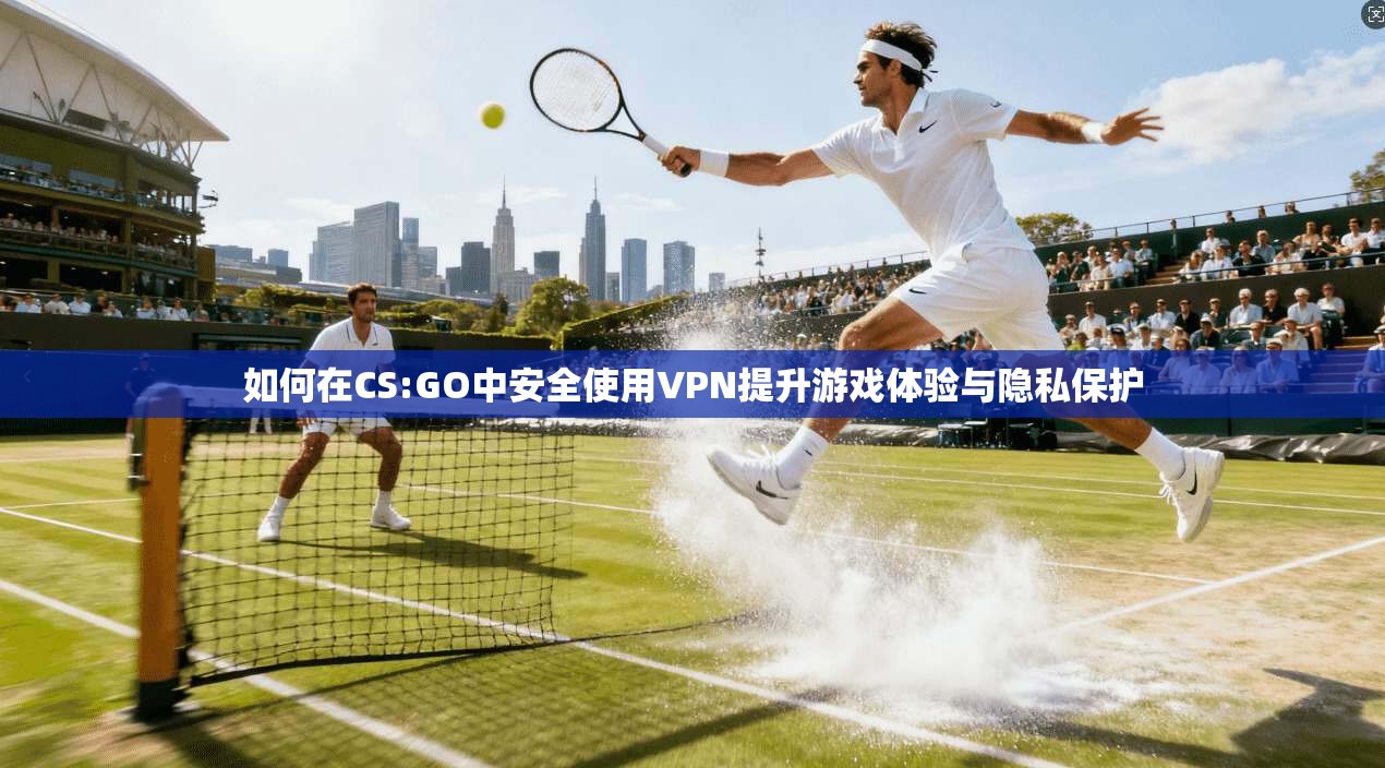 如何在CS:GO中安全使用VPN提升游戏体验与隐私保护  第1张