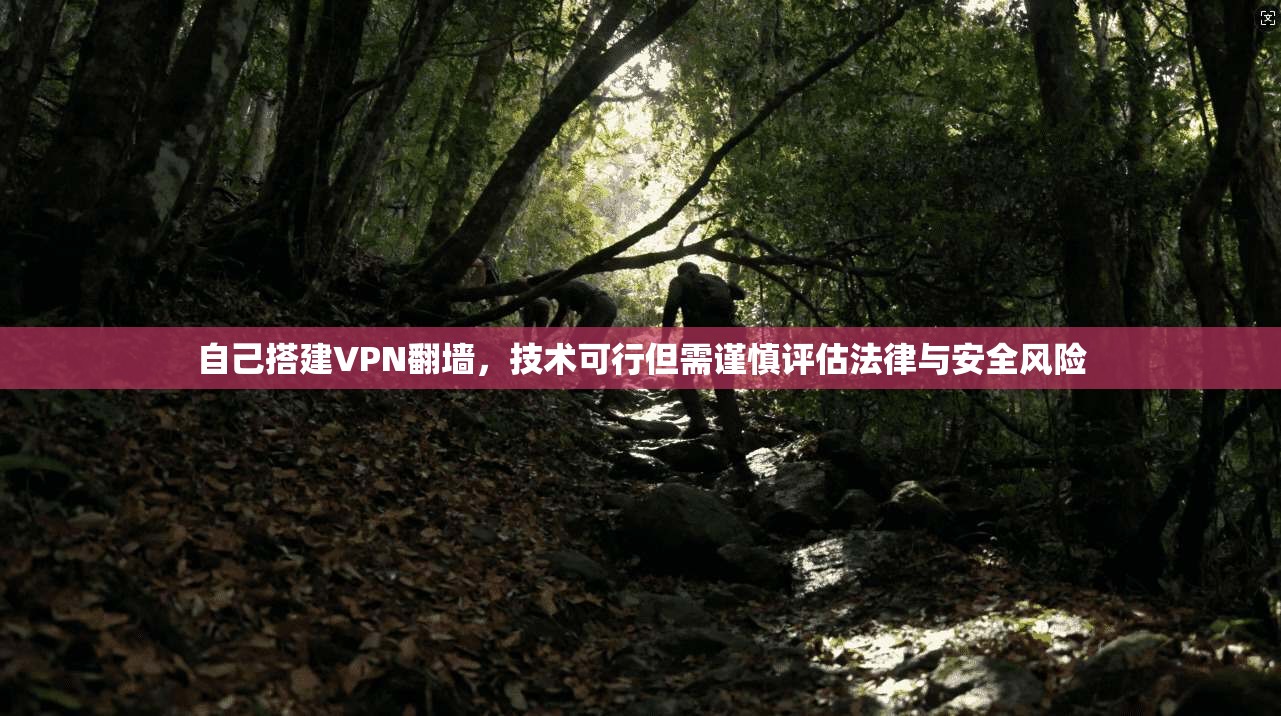 自己搭建VPN翻墙，技术可行但需谨慎评估法律与安全风险  第1张