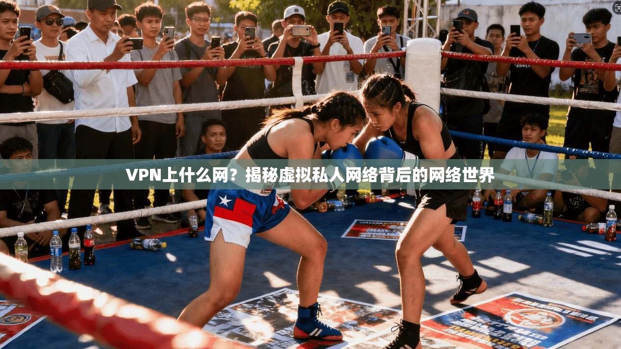 VPN上什么网？揭秘虚拟私人网络背后的网络世界  第1张