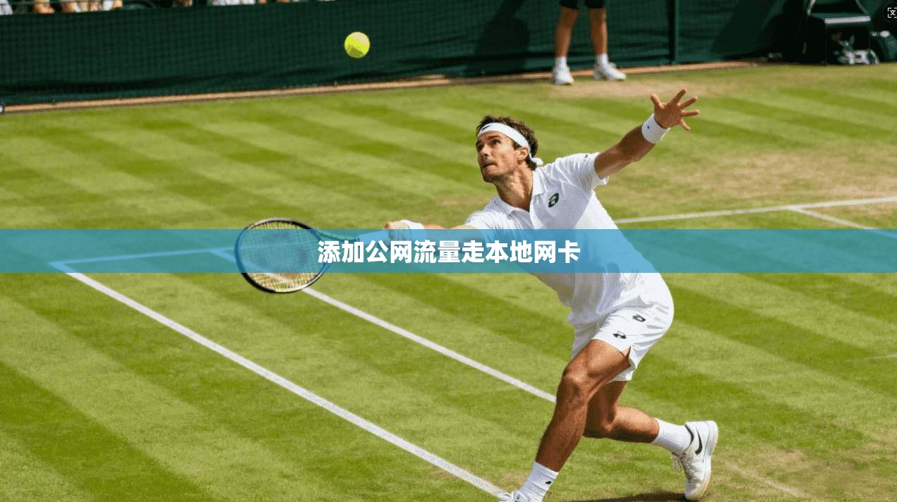 添加公网流量走本地网卡 第1张 添加公网流量走本地网卡 第1张