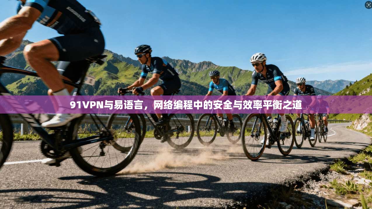 91VPN与易语言，网络编程中的安全与效率平衡之道  第1张