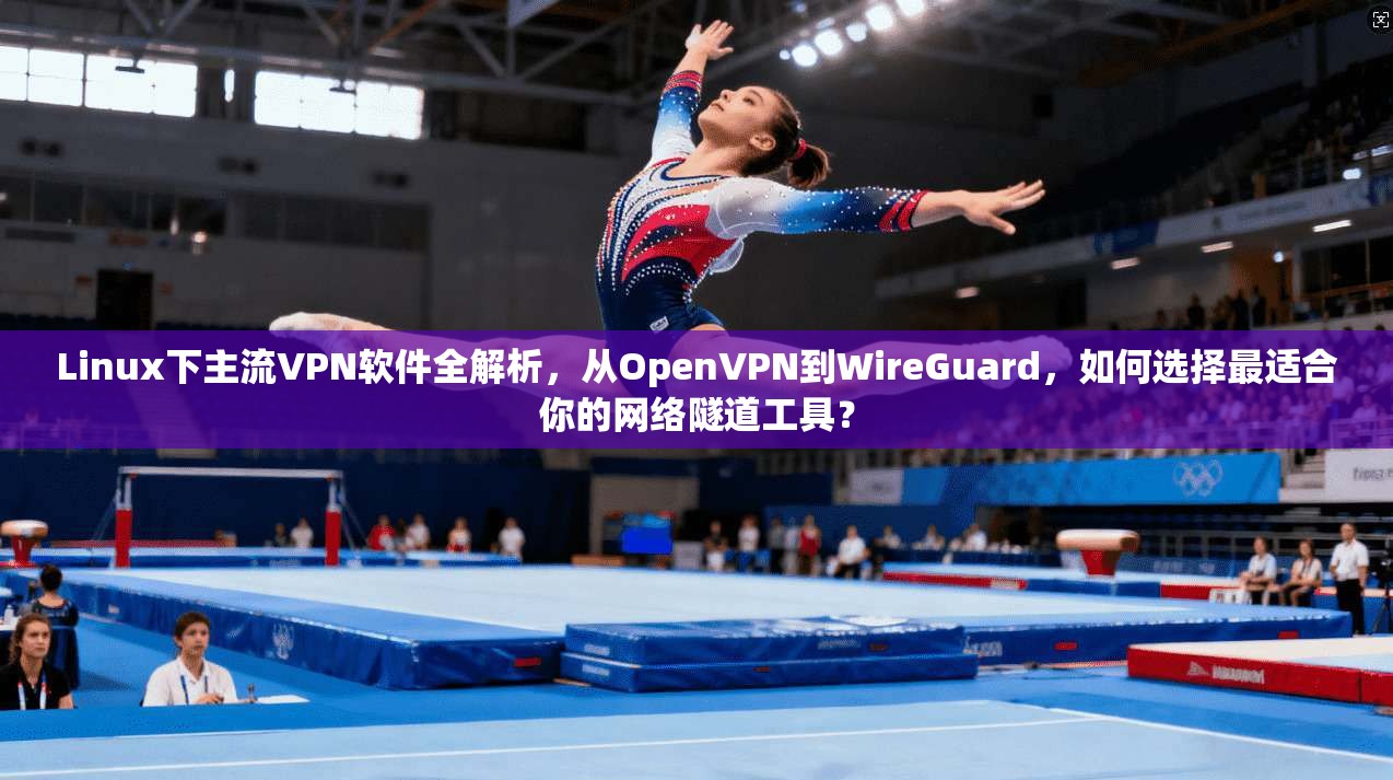 Linux下主流VPN软件全解析，从OpenVPN到WireGuard，如何选择最适合你的网络隧道工具？  第1张