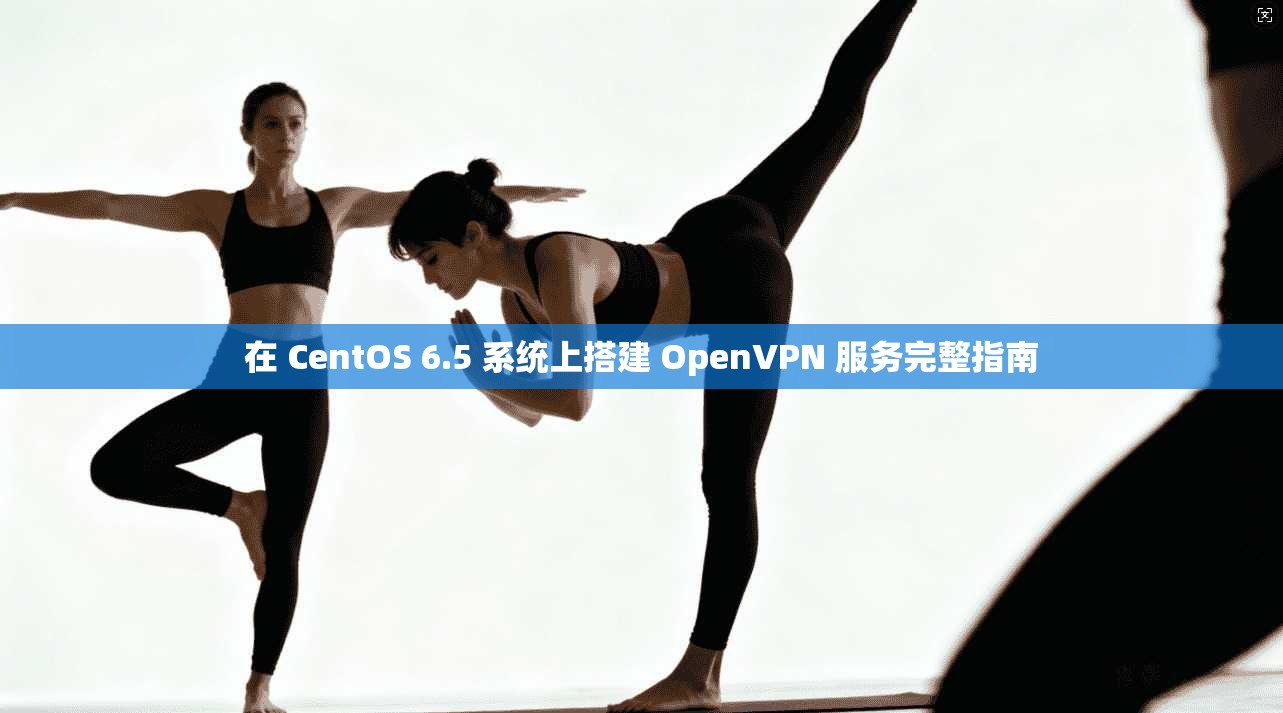 在 CentOS 6.5 系统上搭建 OpenVPN 服务完整指南  第1张