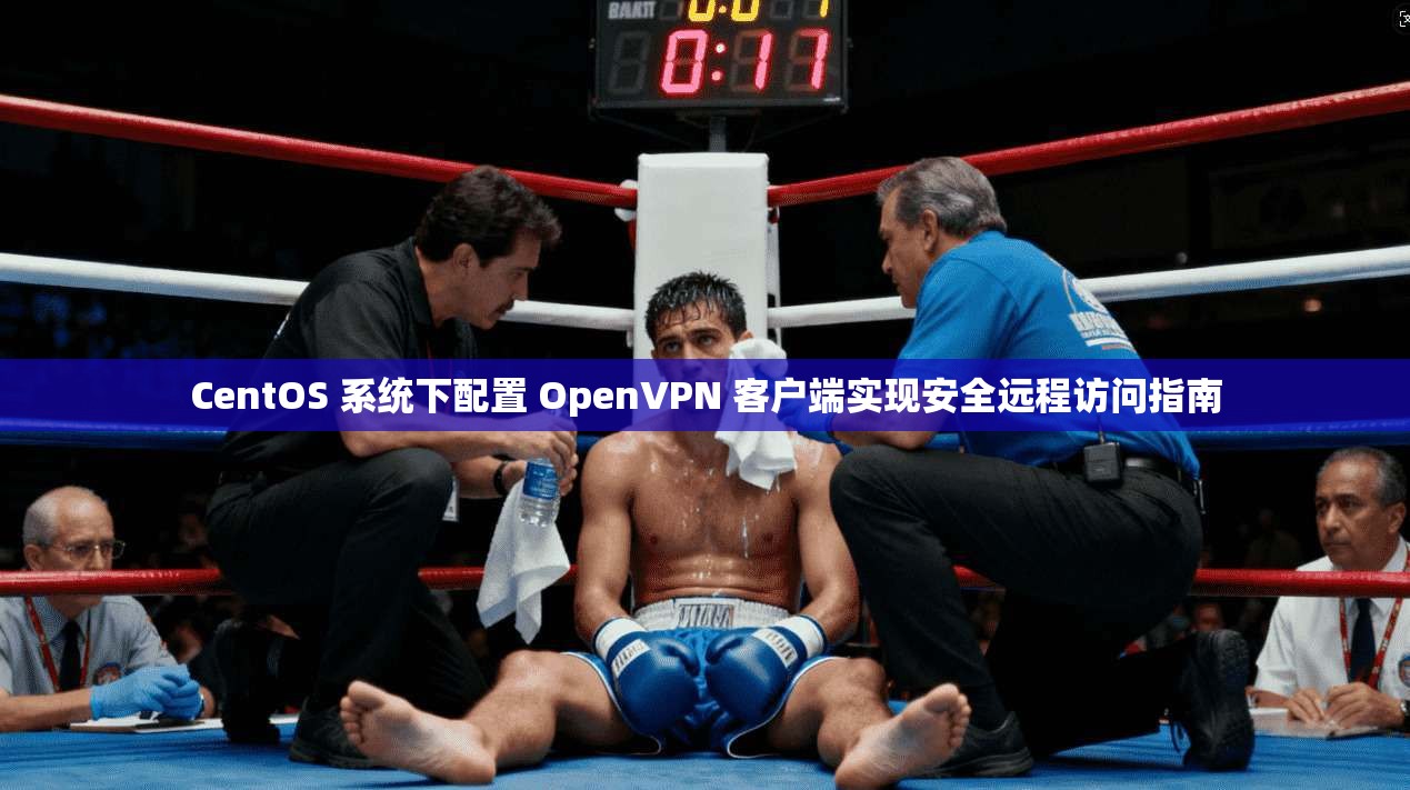 CentOS 系统下配置 OpenVPN 客户端实现安全远程访问指南 第1张 CentOS 系统下配置 OpenVPN 客户端实现安全远程访问指南 第1张